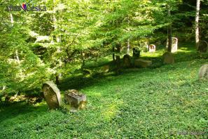 Židovský hřbitov Hřešihlavy
