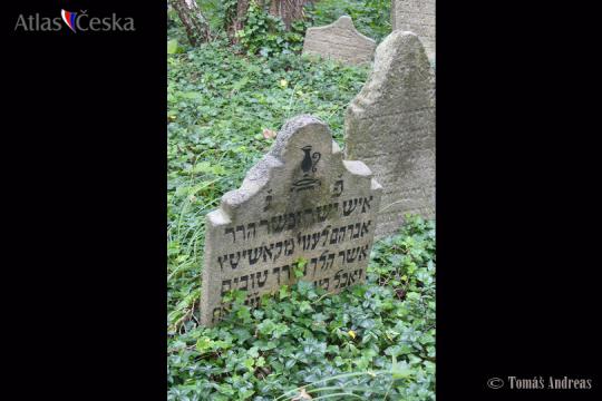 Židovský hřbitov Myslkovice - 
