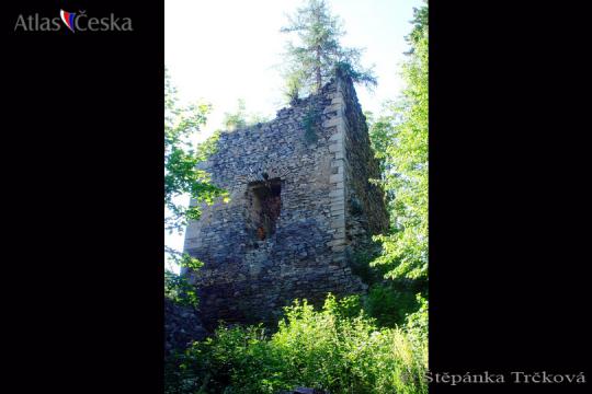 Zřícenina hradu Rýzmburk u Oseka - 